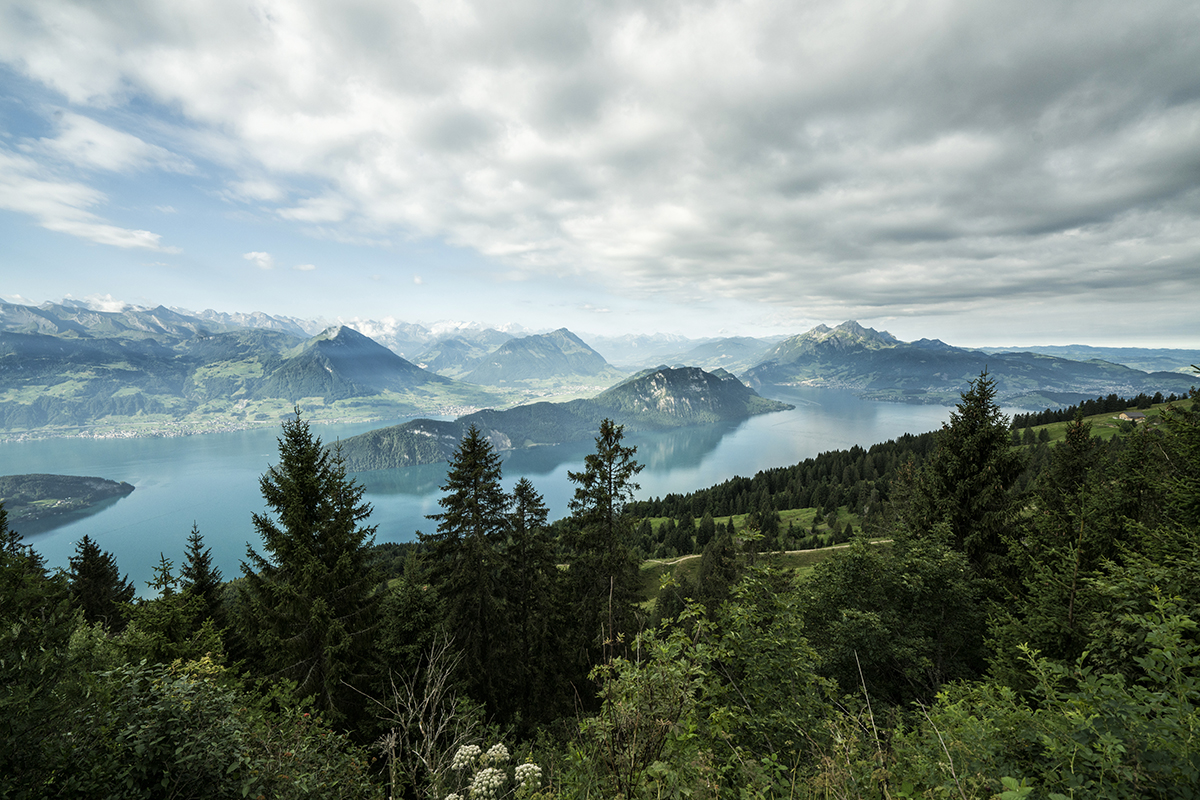 Rigi First Weg