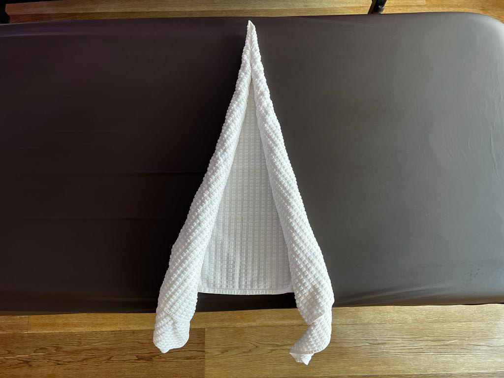 Handtuchschwan falten Schritt-für-Schritt-Anleitung