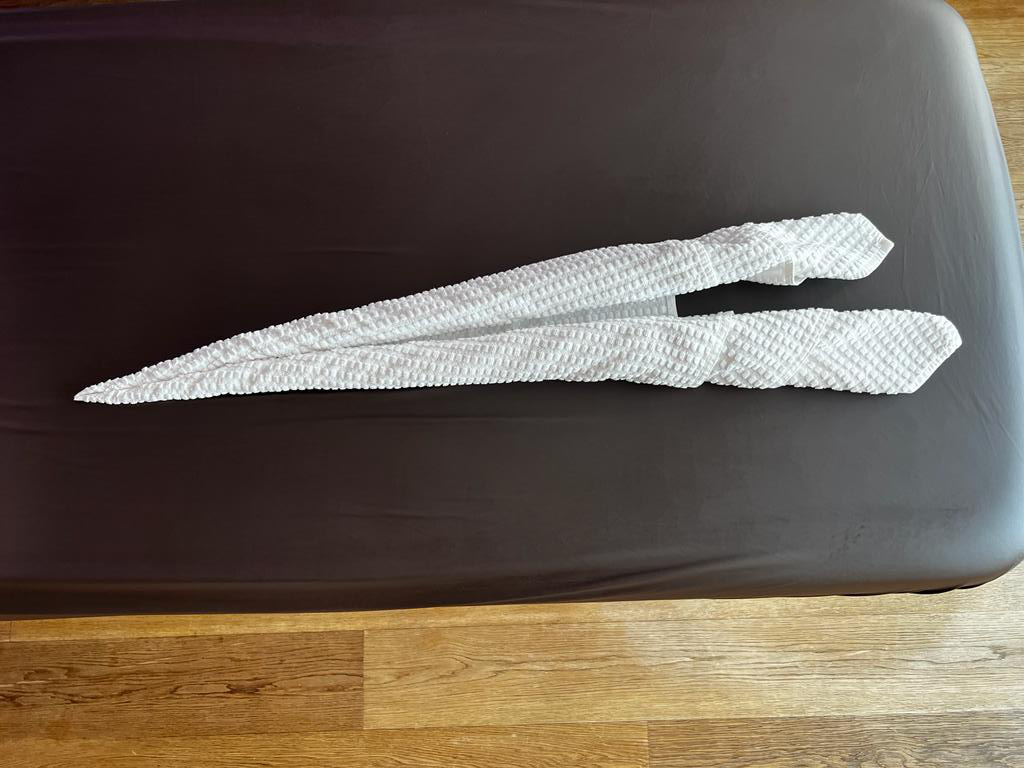 Handtuchschwan falten Schritt-für-Schritt-Anleitung