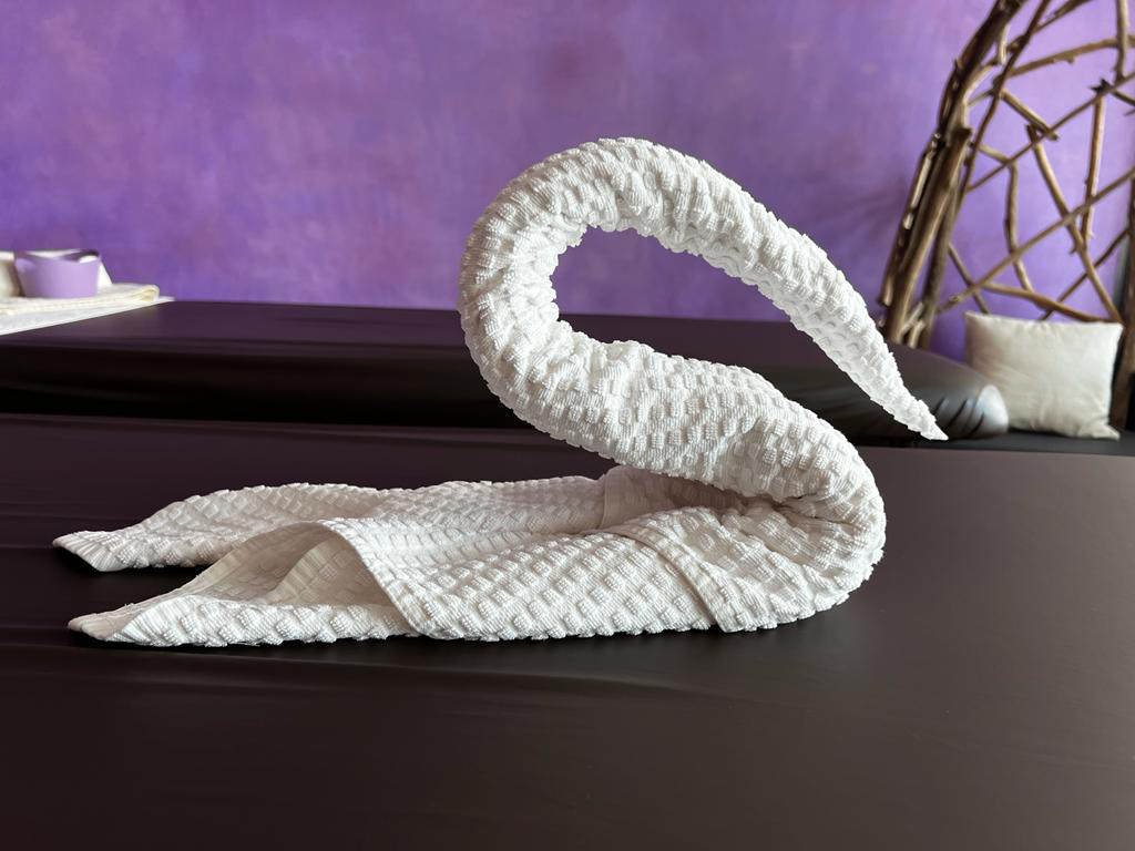 Handtuchschwan falten Schritt-für-Schritt-Anleitung