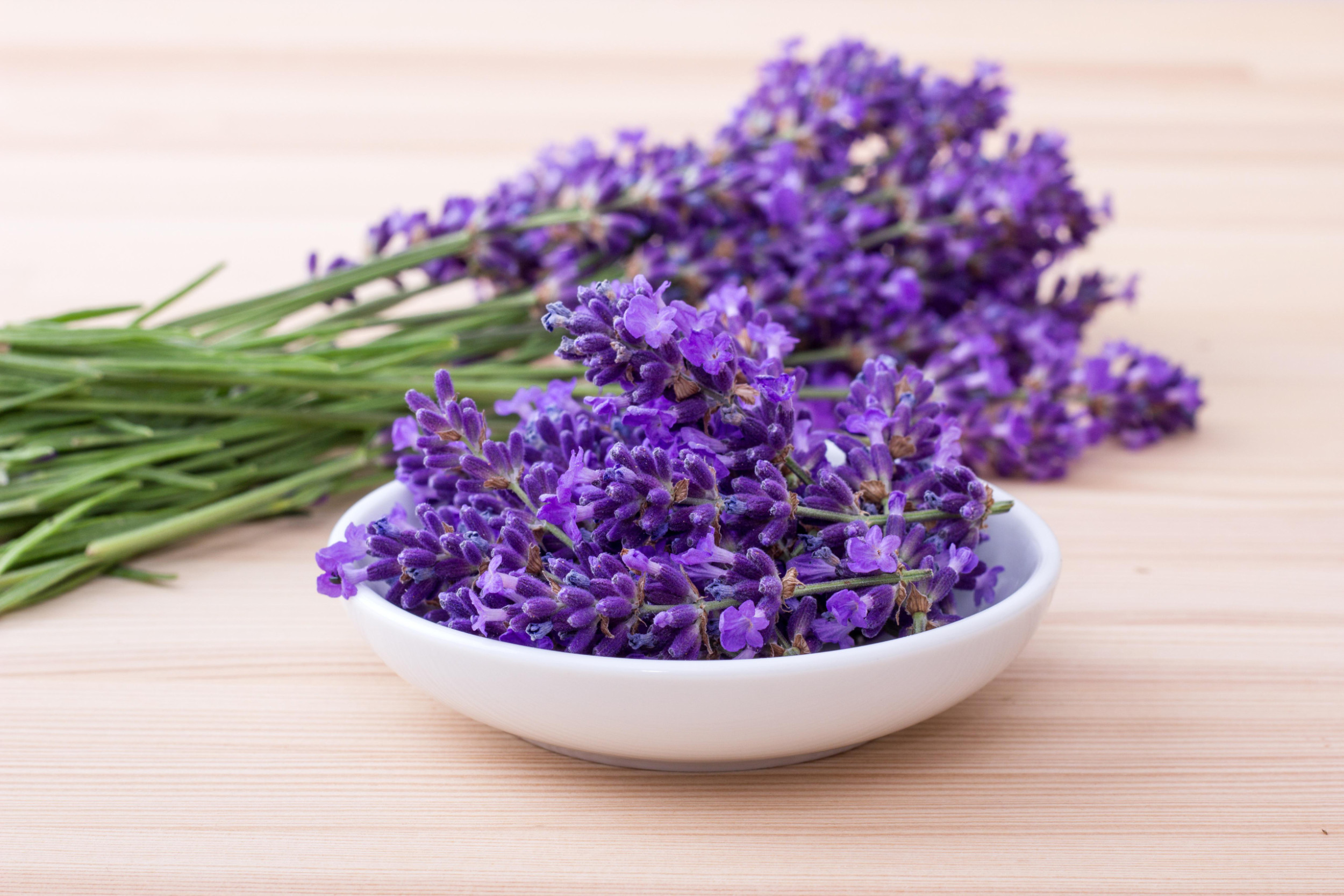 Lavendel für Badezusatz selber machen