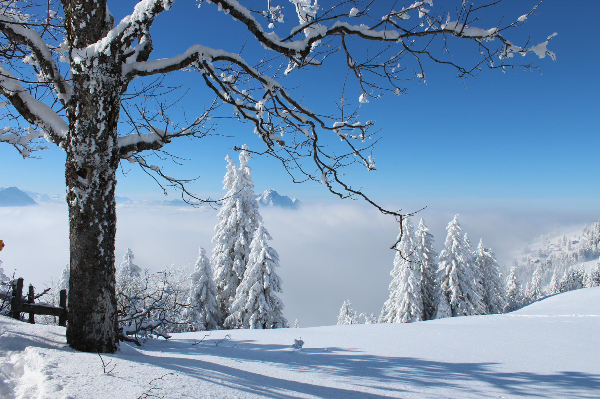 Rigi First Rundweg