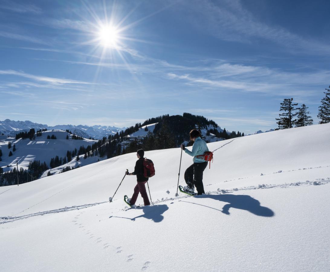 Winterwandern auf der Rigi