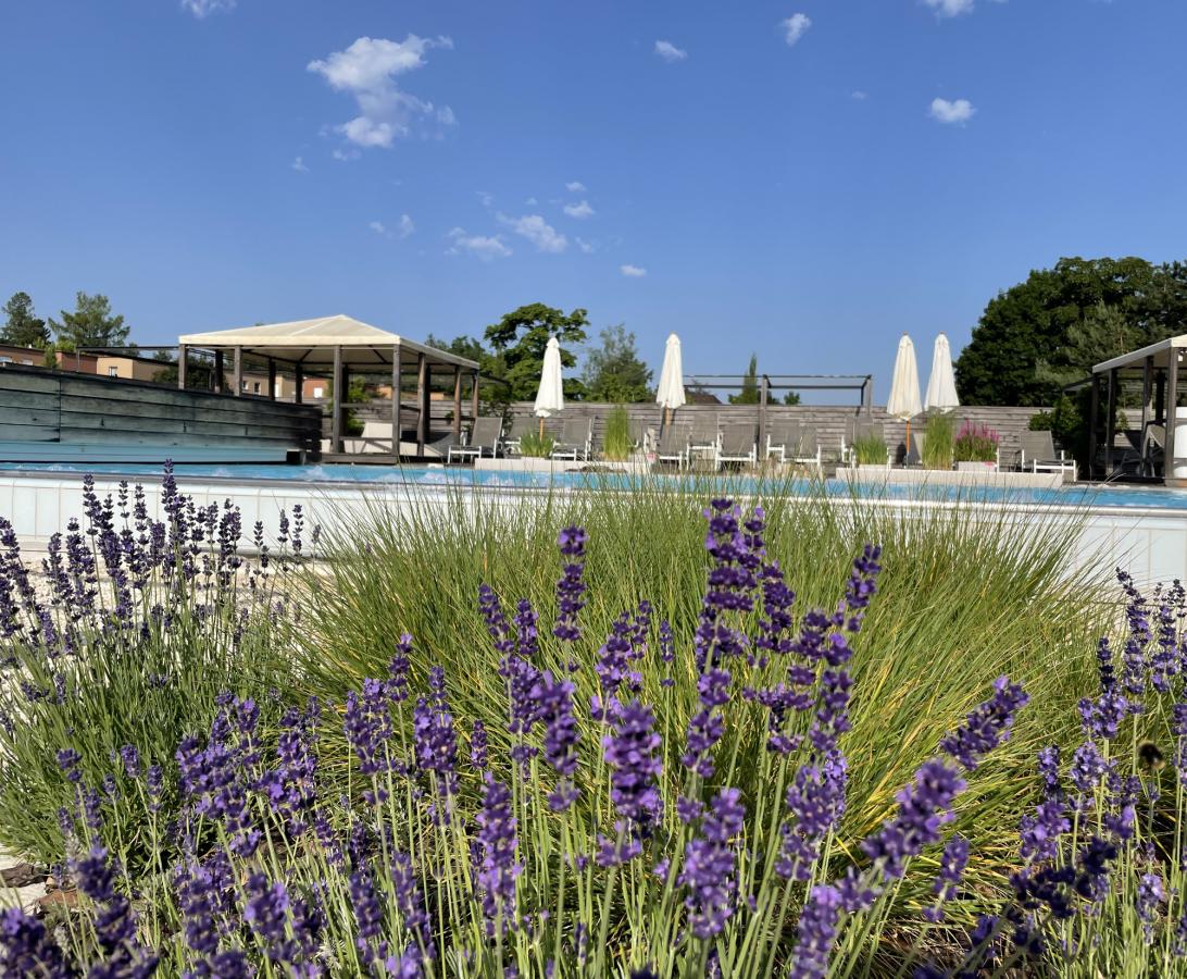 Solbad &amp; Spa Schönbühl Aussenbad mit Lavendel